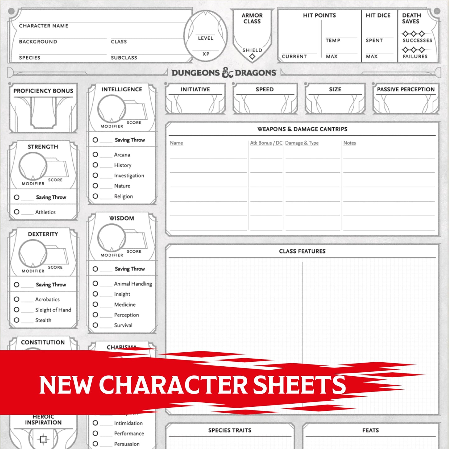 Dungeons & Dragons RPG - Character Sheets 2024 - EN