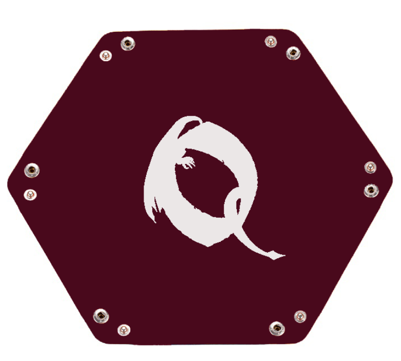Quest Würfelbox - Exklusiver Dicetray